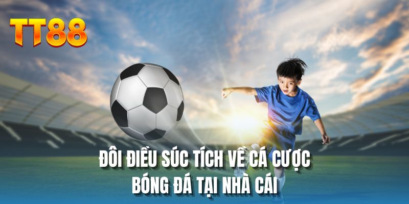 Đôi điều súc tích về cá cược bóng đá tại nhà cái